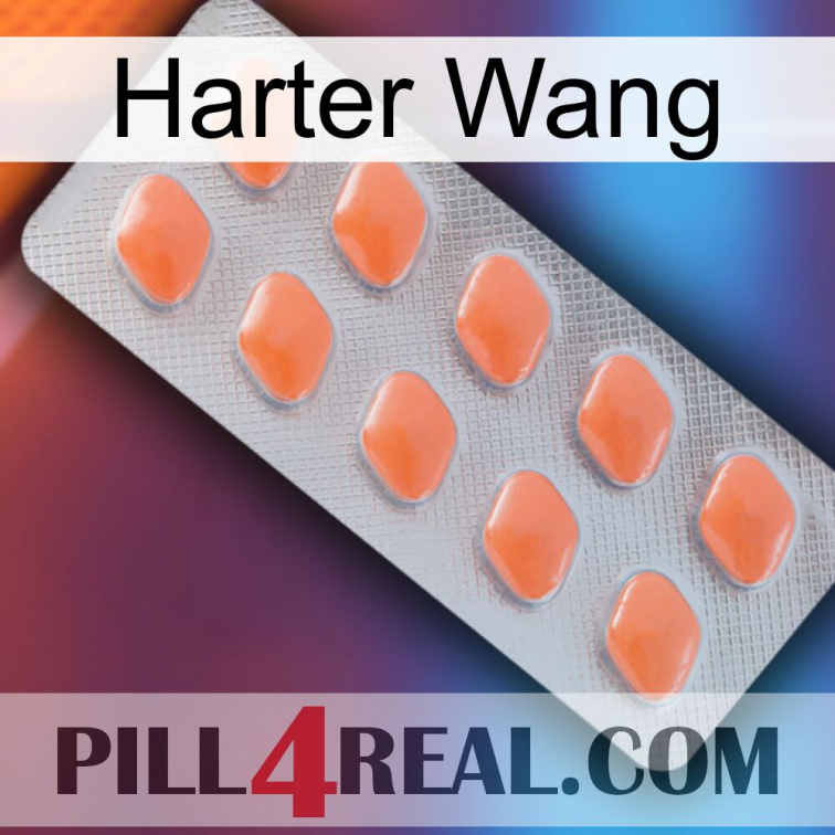 Hard Wang 26